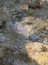Quartz filonien de Saint-Rémy-du-Plain