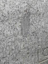 Un crapaud dans un granite...