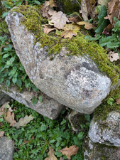  Granodiorite à biotite (type Louvigné-du-Désert)