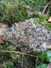 Graniodorite à biotite de Mellé