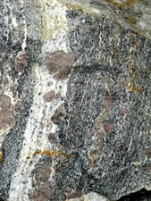 Amphibolite à grenats