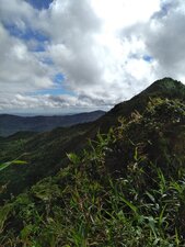 Site 1. Sommet du volcan du Morne Jacob