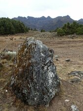 Bloc erratique gneissique proche de la laguna de Mucubaji