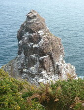 Rocher de la Fauconnière, cap Frehel