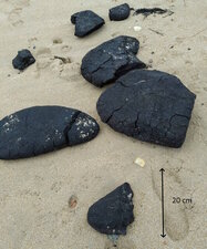 Galettes de tourbe sur estran -Plage de Kervégan -Plouhinec