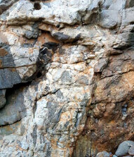 Enclaves de gneiss