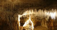 Stalactite dans la galerie du siphon - grottes de Choranche