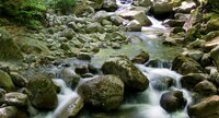 Roches dans un cours d'eau dans la forêt de Vizzavona en Corse