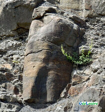 Forêt fossile de Champclauson