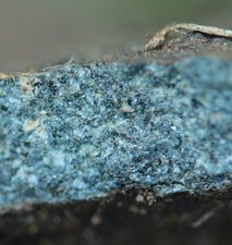 Microgabbros, diorites quartzifères de Cesson-Sévigné