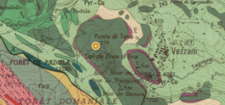 Radiolarites