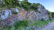 Radiolarites