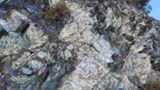 Péridotites Serpentinisées