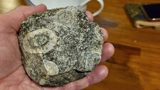 Diorite Orbiculaire