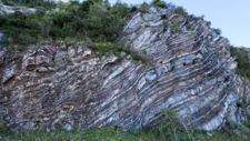 Radiolarites
