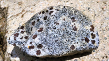 Monzogranodiorite à grenats
