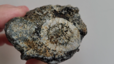 Diorite Orbiculaire