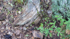Ultramylonite