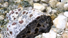 Monzogranodiorite à grenats