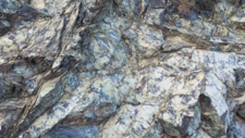 Péridotites Serpentinisées