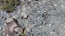 Serpentinites