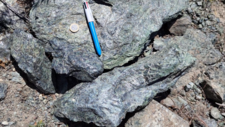 Serpentinites