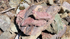 Radiolarites
