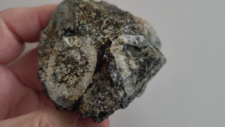 Diorite Orbiculaire