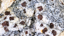 Monzogranodiorite à grenats