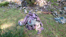 Radiolarites