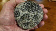 Diorite Orbiculaire