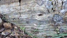 Ultramylonite