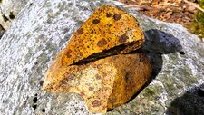Monzogranodiorite à grenats