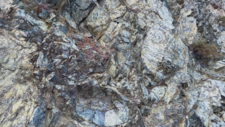 Péridotites Serpentinisées