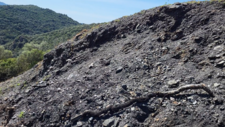 Anthracite