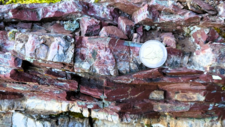 Radiolarites