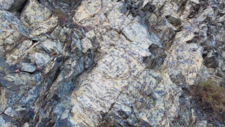 Péridotites Serpentinisées