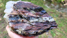 Radiolarites
