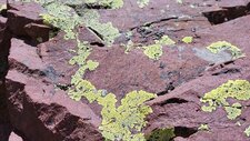 Microgranite Alcalin