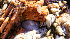 Pegmatites