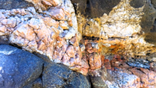 Pegmatites