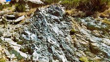 Corse - Muracciole - Campo Dei Meloni - Serpentinite