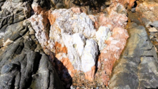 Pegmatites