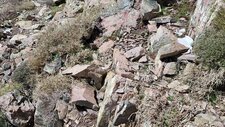 Microgranite Alcalin