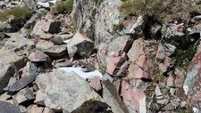 Microgranite Alcalin