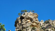 Leucomonzogranite