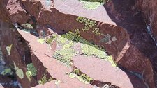 Microgranite Alcalin