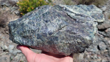 Serpentinites