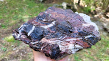 Radiolarites