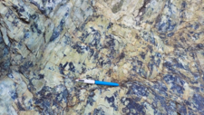Péridotites Serpentinisées